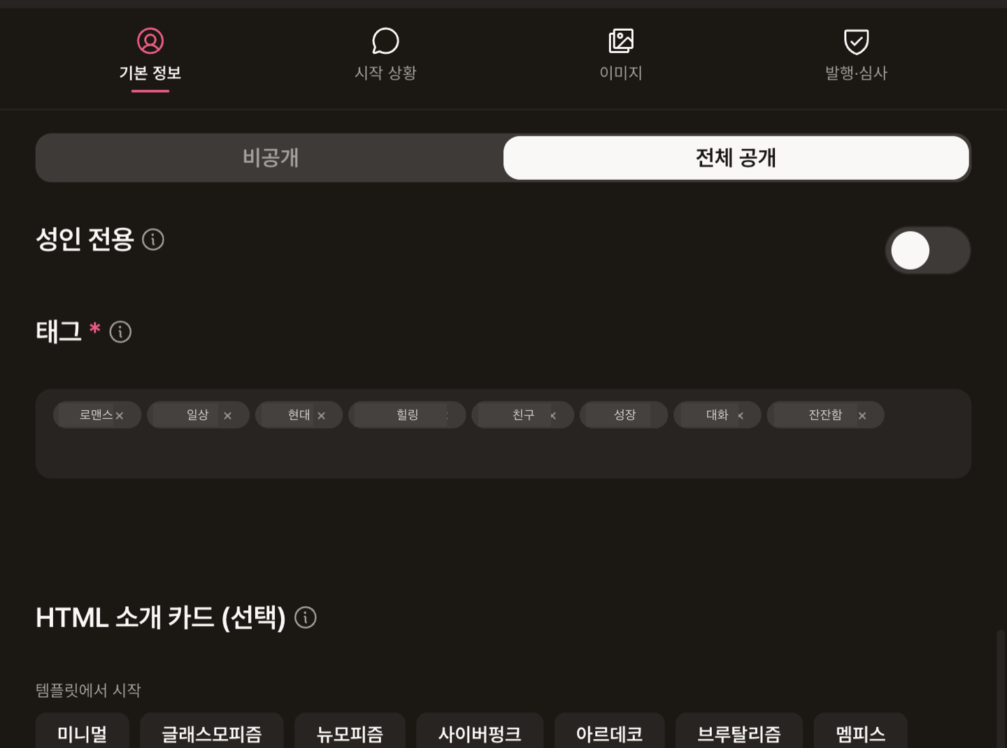 공개 설정: 공개 범위·성인 전용·태그